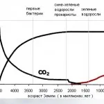 Vulcan - guri de aerisire, lavă, erupție, terasfera