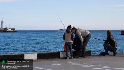 Így a Krímben szükséges lehet csak megérteni, hogyan kell csinálni, hírek