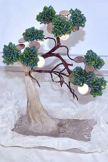 Zöld bonsai bead pénzt fa kezével