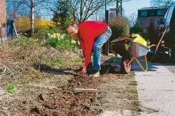 Hedge de irgi șase etape de creație