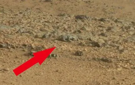 14 obiecte misterioase văzute pe Marte, se amestecă