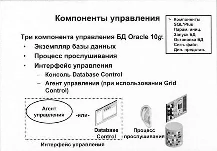 04 Управление например Oracle