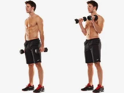 5 legjobb gyakorlatok bicepsz