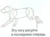 Работещи Dog - Научете се да изготви