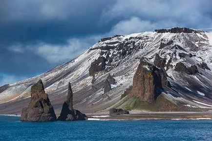 Arctic вектор