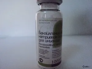 Benzilpenicillin nátrium-só (por) az állatok, áttekinti az állati gyógyszerek