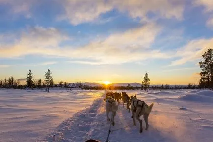 Beringia 2016