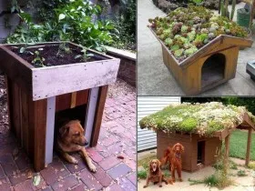 Къщи за кучета с идеите му ръце фото дизайн