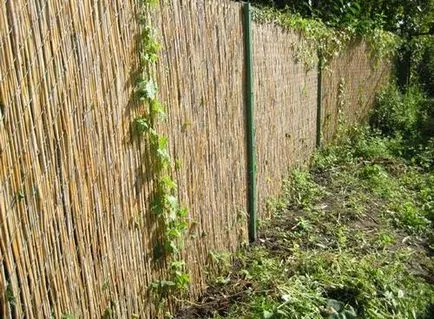 A közeli kerítés háló háló - nyolcféle módon, hogy átlátszatlan kerítés