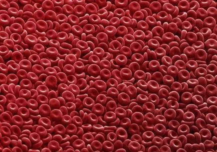 Каква е кръвта и защо тя е червена инфо здраве