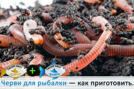 Worms halászati