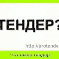 Какво е нежна, за търгове и обществени поръчки