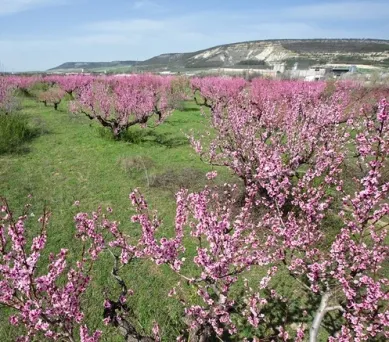 Mit hoz nekünk Krím mezőgazdaság Krím