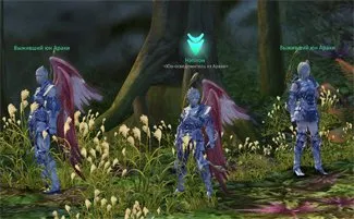 Dungeon Arak - Aion - Biblioteca Ghiduri