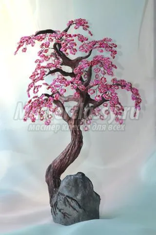Fa gyöngy - cseresznye virágok egy kő