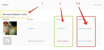 Amellett, hogy a plug-hirdetések-wordpress - személyes fiók (felhasználók műszerfal hirdetések-wordpress),