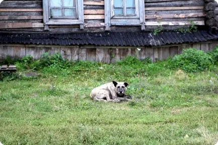 Ekaterinovka, Pestrechinsky District