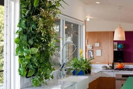Eco konyha hogyan díszítik, javítási és design a konyhában kezével