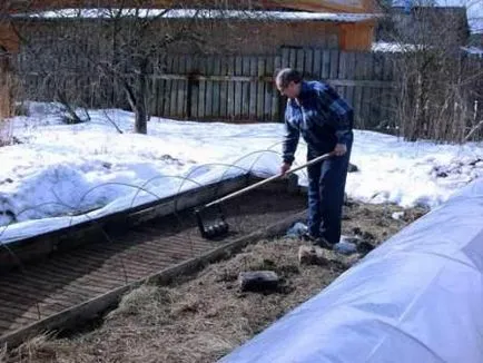 Cottage kezdődik tavaszi munka márciusban és áprilisban