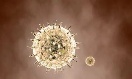 Herpes și cancer incompatibile - Herpes ucide celulele canceroase