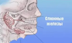 Жлезите хейлит причини, симптоми, със снимка, лечение, последствия, превенция