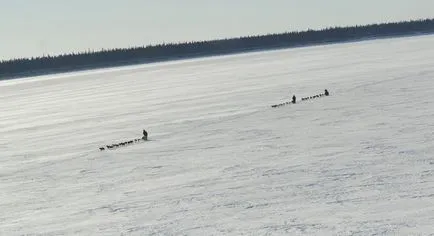 Kutyaszán verseny Iditarod Alaszkában, fotó hírek