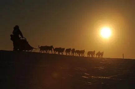 Kutyaszán verseny Iditarod Alaszkában, fotó hírek