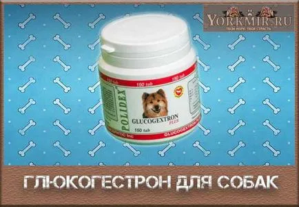 Glyukogestron за кучета, инструкции за употреба