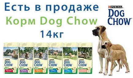 Pet magazin - zooregion în Nijni Tagil