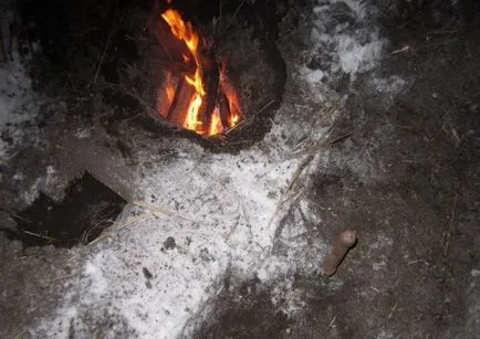 Интересно инструктирани да не се замразява през зимата в гората (11 снимки) - triniksi