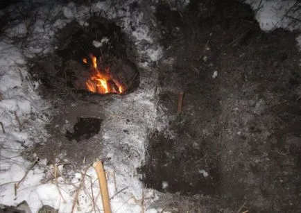 Interesant instruiți ca să nu să înghețe în pădure de iarnă (11 poze) - triniksi