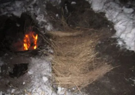 Érdekes utasította, hogy ne fagyassza a téli erdőben (11 kép) - triniksi