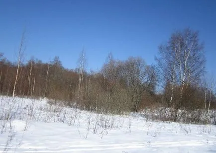 Interesant instruiți ca să nu să înghețe în pădure de iarnă (11 poze) - triniksi