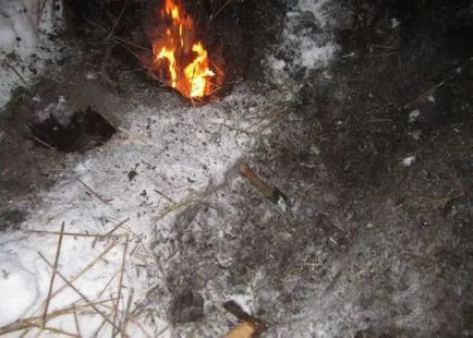 Интересно инструктирани да не се замразява през зимата в гората (11 снимки) - triniksi