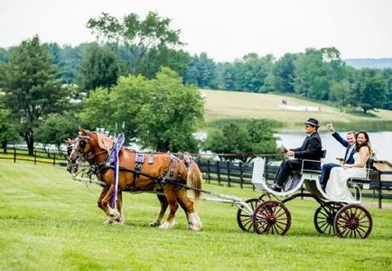 Just Married идеи за ефектен заминаването на младоженци