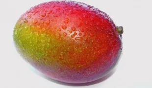 Cum se coace mango