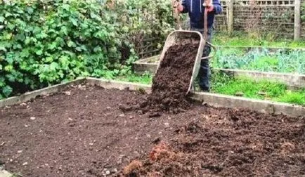 Așa cum se utilizează putrezit gunoi de grajd, compost, lichid