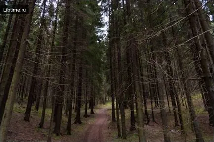 Ce tipuri de păduri