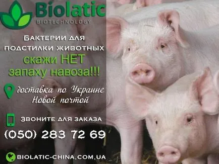 Cum să scapi de mirosul de gunoi de grajd de porc, bacterii de gunoi de grajd de prelucrare în Ucraina