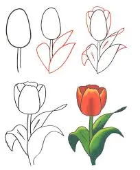 Hogyan kell felhívni a csokor tulipán képeslapot anya napja március 8