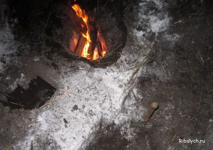 Cum de a păstra cald în pădure de iarnă