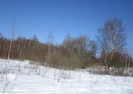 Cum de a păstra cald în pădure de iarnă