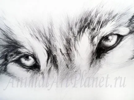 Cum de a desena un ochi de lup în creion în etape