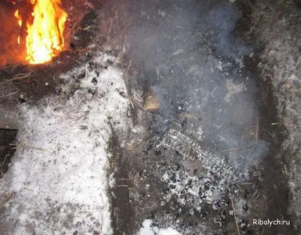 Cum de a păstra cald în pădure de iarnă