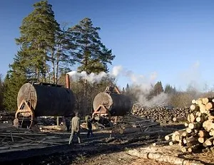 Как да започнете бизнес за производство на дървени въглища етапи на организация и подготовка на бизнес плана