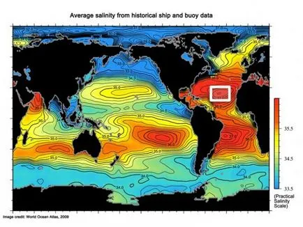 Care este salinitatea oceanului Atlantic