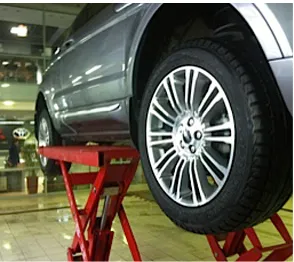 Diagnostic Range Rover (Range Rover) de la Moscova