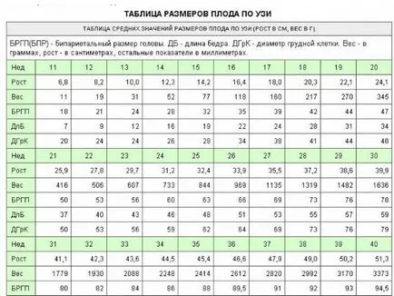 Cum se calculează greutatea fătului conform formulei și Uzi