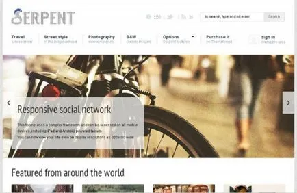 Cum se utilizează WordPress pentru a crea o rețea socială, CMS și motoare pentru site-uri