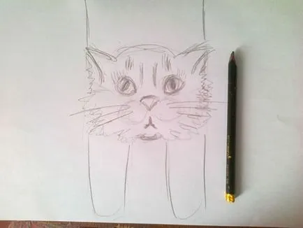 Hogyan lehet lekötni egy sál formájában egy macska